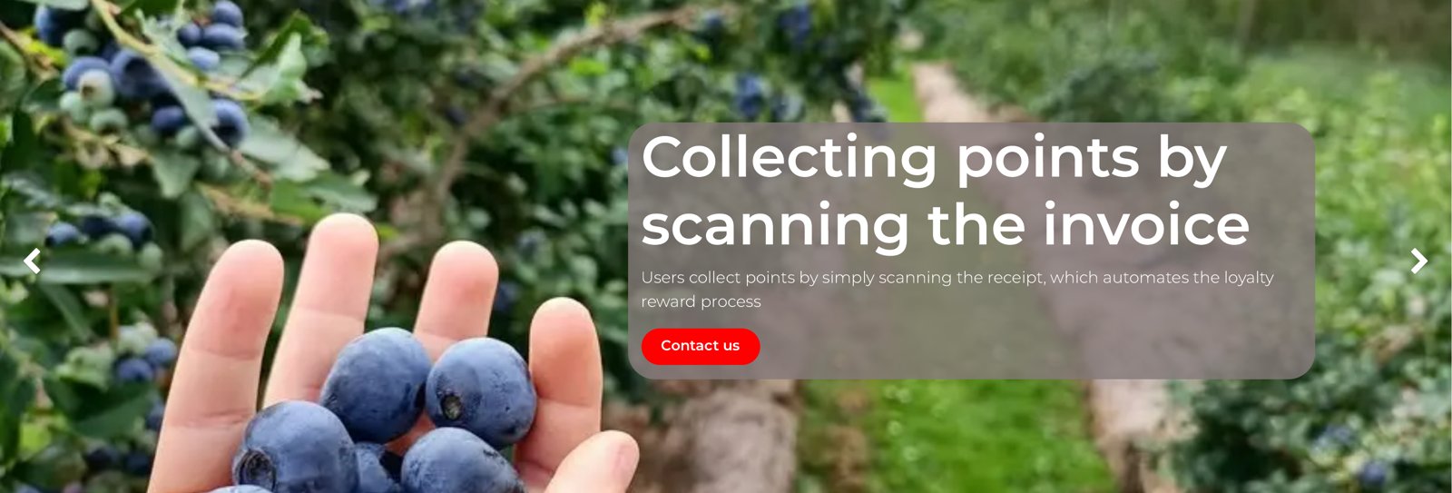 Collecting points by scanning the invoice